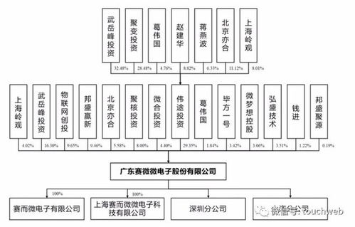 赛微微电科创板上市破发 跌幅超20 公司市值45亿